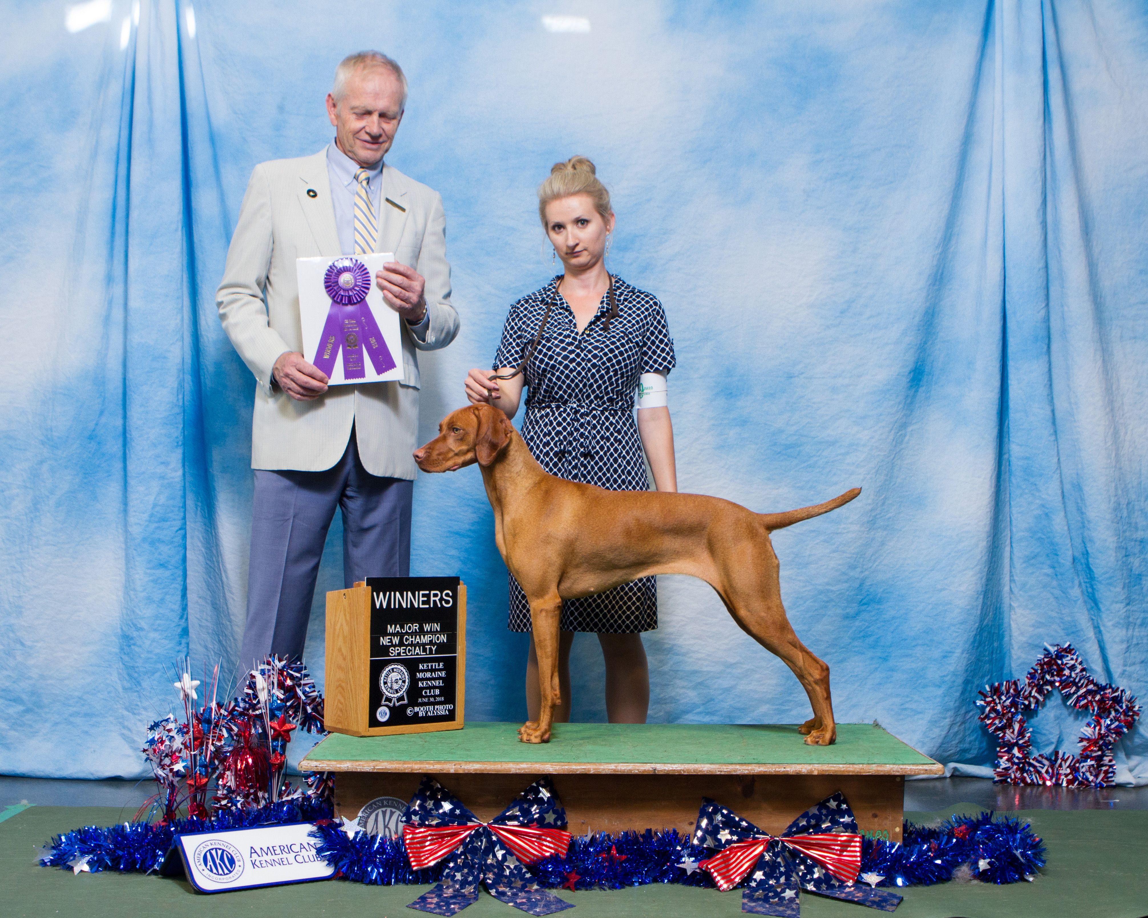 CH Pursuit of Perfection CGC "Lexi"